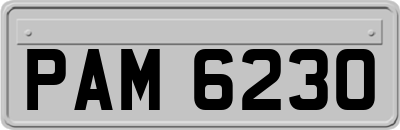 PAM6230