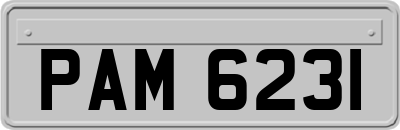 PAM6231