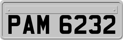 PAM6232