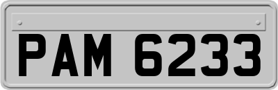 PAM6233