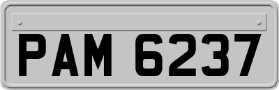 PAM6237
