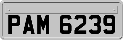 PAM6239
