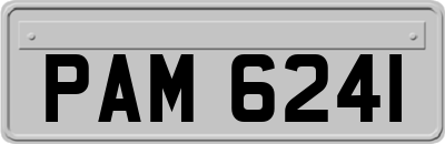 PAM6241