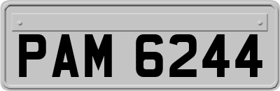 PAM6244