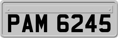 PAM6245
