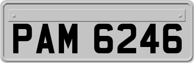 PAM6246