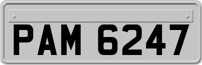 PAM6247