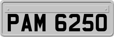 PAM6250