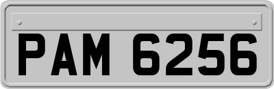 PAM6256