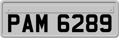 PAM6289