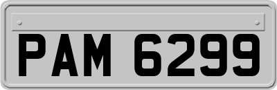 PAM6299
