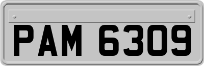 PAM6309