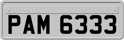 PAM6333