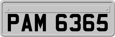 PAM6365