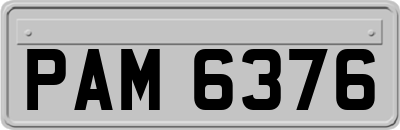 PAM6376