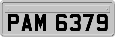PAM6379