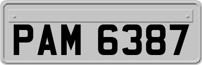 PAM6387
