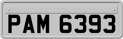 PAM6393