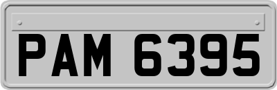 PAM6395