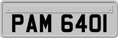 PAM6401