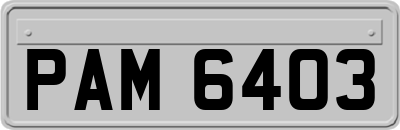 PAM6403