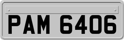 PAM6406