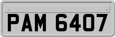 PAM6407