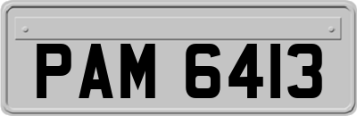 PAM6413