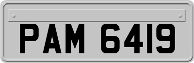 PAM6419