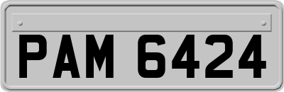 PAM6424