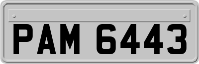 PAM6443