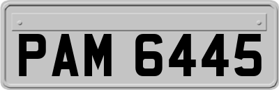 PAM6445