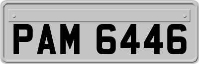 PAM6446