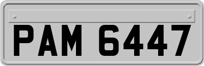 PAM6447