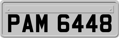 PAM6448