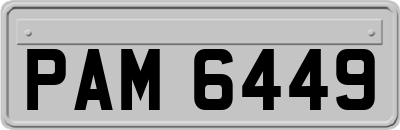 PAM6449