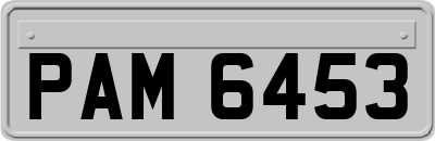 PAM6453