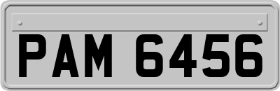 PAM6456