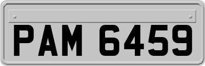 PAM6459