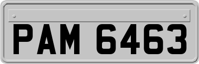 PAM6463