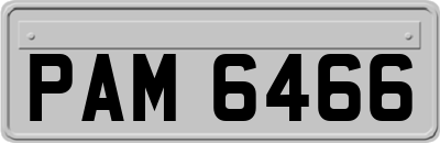 PAM6466