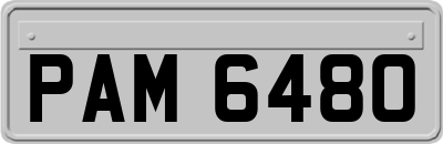 PAM6480