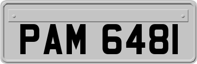 PAM6481