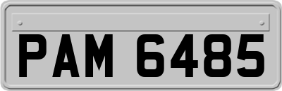 PAM6485