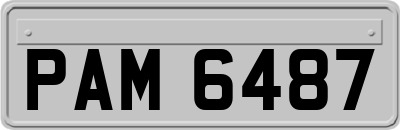 PAM6487