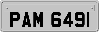 PAM6491