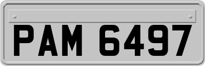 PAM6497