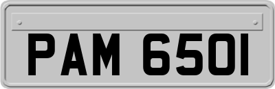 PAM6501