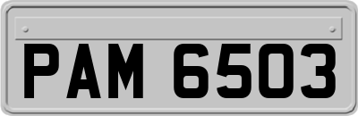 PAM6503
