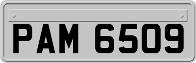 PAM6509
